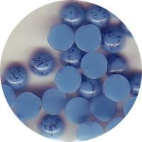 NLS Turquoise Dark Blue (4mm) 30pcs [While Supplies Last]