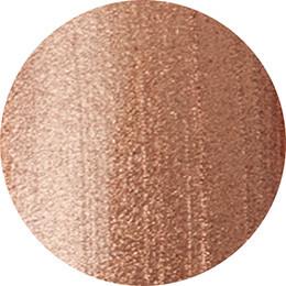Presto Bambina Art Gel Liner AL-4 [4g] [Bottle] [Clearance]