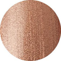 Presto Bambina Art Gel Liner AL-4 [4g] [Bottle] [Clearance]