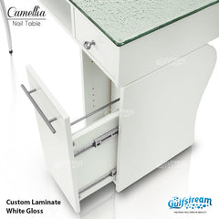 CAMELLIA SINGLE NAIL TABLE Gulfstream Call ONLY 951-213-1122
