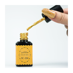 Presto Color Gel  SC-234 [10g] [Bottle]