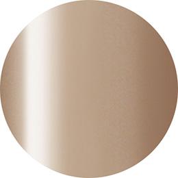 Presto Color Gel J005 [10g] [Bottle] [Rebranded]