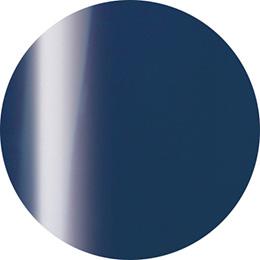 Presto Color Gel J009 [10g] [Bottle] [Rebranded]