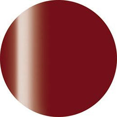 Presto Color Gel J011 [10g] [Bottle] [Rebranded]
