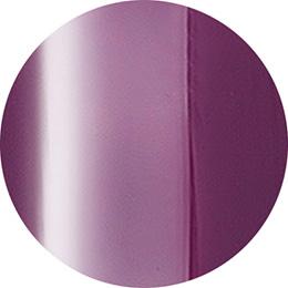 Presto Color Gel J070 [10g] [Bottle] [Rebranded]