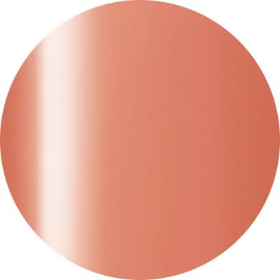 Presto Color Gel J040 [2.7g] [Jar] [Rebranded]