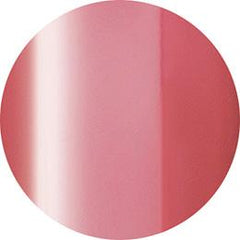 Presto Color Gel JC-71 [2.7g] [Jar] [Clearance]
