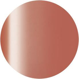 Presto Color Gel JC-45 [10g] [Bottle][Clearance]