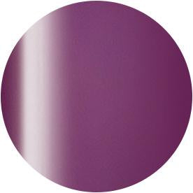 Presto Color Gel JC-54 [10g] [Bottle][Clearance]