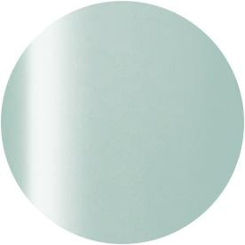 Presto Color Gel JC-55 [10g] [Bottle][Clearance]