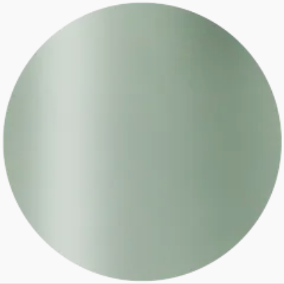 Presto Color Gel S373 [10g] [Bottle] [Rebranded]