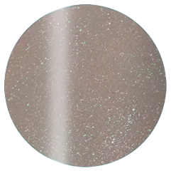 Presto Color Gel S388 [10g] [Bottle] [Rebranded]