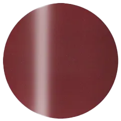 Presto Color Gel S389 [10g] [Bottle] [Rebranded]