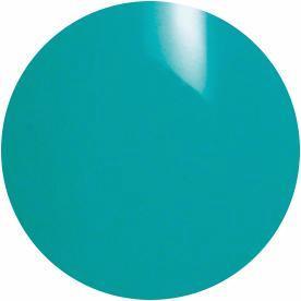 Presto Color Gel SC-014 [10g] [Bottle]