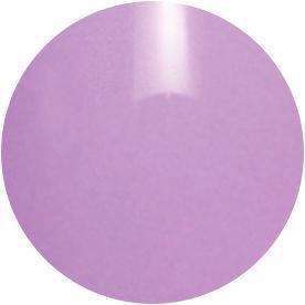 Presto Color Gel S015 [10g] [Bottle] [Rebranded]