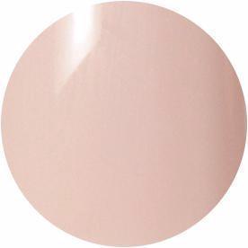 Presto Color Gel S027 [10g] [Bottle] [Rebranded]