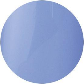 Presto Color Gel S051 [10g] [Bottle] [Rebranded]