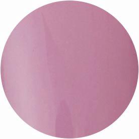Presto Color Gel S055 [10g] [Bottle] [Rebranded]
