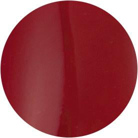 Presto Color Gel S099 [10g] [Bottle] [Rebranded]