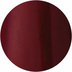 Presto Color Gel S100 [10g] [Bottle] [Rebranded]