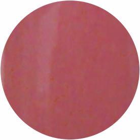 Presto Color Gel S155 [10g] [Bottle] [Rebranded]