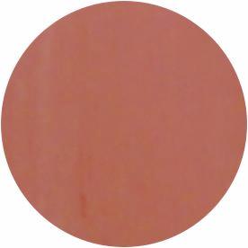 Presto Color Gel S156 [10g] [Bottle] [Rebranded]