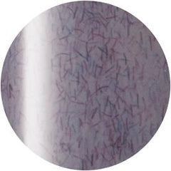 Presto Color Gel SC-231 [10g] [Bottle]