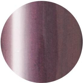 Presto Color Gel SC-238 [10g] [Bottle][Clearance]