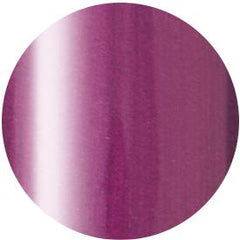 Presto Color Gel SC-240 [10g] [Bottle][Clearance]