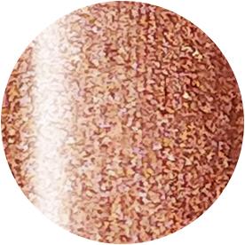 Presto Color Gel SC-313 [10g] [Bottle]