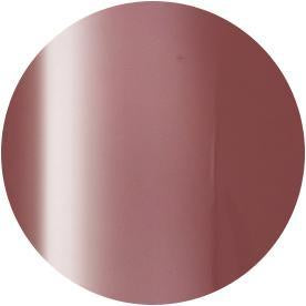 Presto Color Gel S339 [10g] [Bottle] [Rebranded]