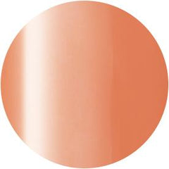 Presto Color Gel SC-340 [10g] [Bottle]