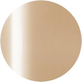 Presto Color Gel S358 [10g] [Bottle] [Rebranded]