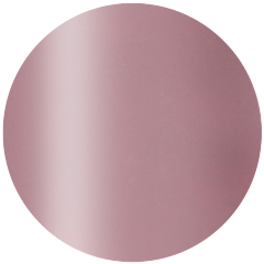 Presto Color Gel S376 [10g] [Bottle] [Rebranded]