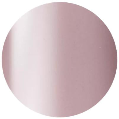 Presto Color Gel SC-379 [10g] [Bottle] [Clearance]