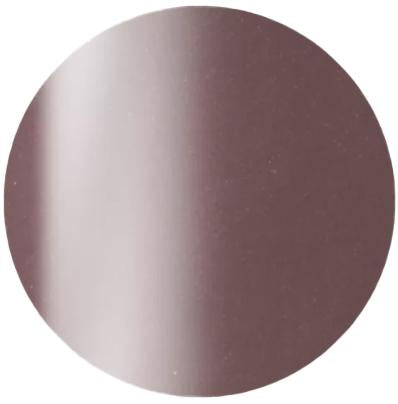 Presto Color Gel S381 [10g] [Bottle] [Rebranded]