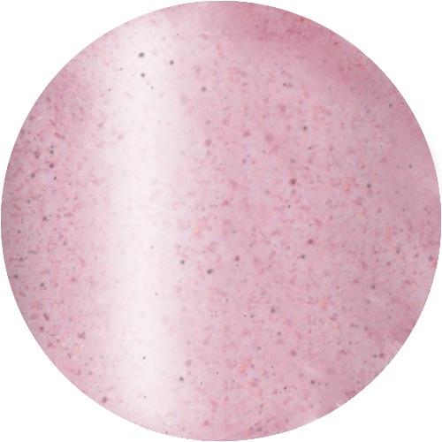 Presto Color Gel SC-310 [10g] [Bottle]