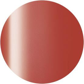 Presto Color Gel JC-46 [10g] [Bottle]