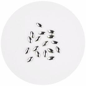 NLS Metal Seeds Silver 200pcs